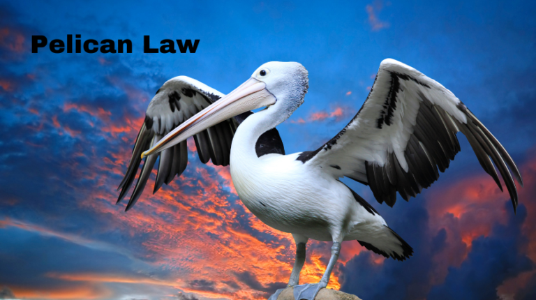 Pelican Law: An Overview of Its Importance and Application